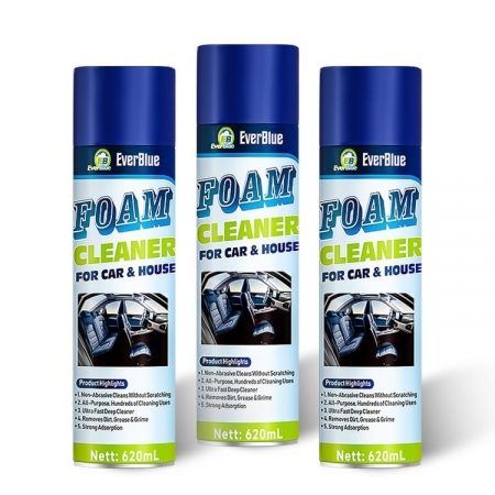 Spray nettoyant de surface en mousse polyvalente, nettoyage automatique, 650ml, pour siège de voiture
     